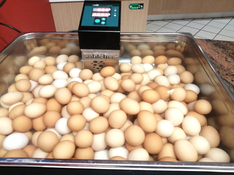 Weich gekochte Eier gekocht bei 63° C in GN 2/1 Behälter mit SWID  Sous-Vide Gerät